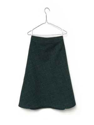 Check A-Line Skirt